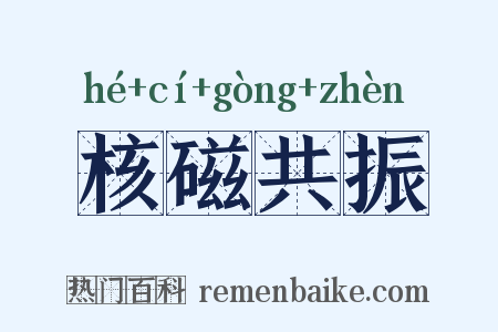 核磁共振是什么意思的图片